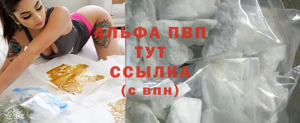 ПСИЛОЦИБИНОВЫЕ ГРИБЫ Дмитров