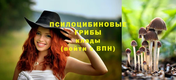 не бодяженный Дмитровск