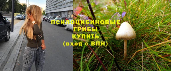 не бодяженный Дмитровск