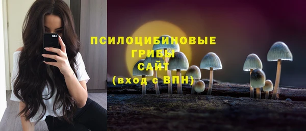 молекула духа Дмитриев