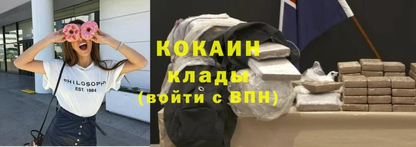 ПСИЛОЦИБИНОВЫЕ ГРИБЫ Дмитров