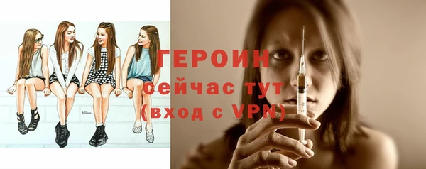 шишки Гусиноозёрск