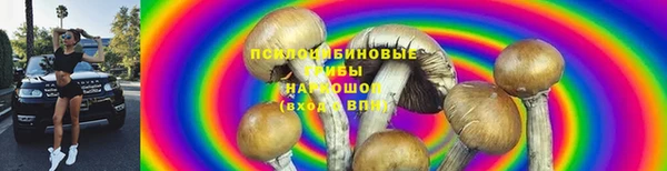 молекула духа Дмитриев