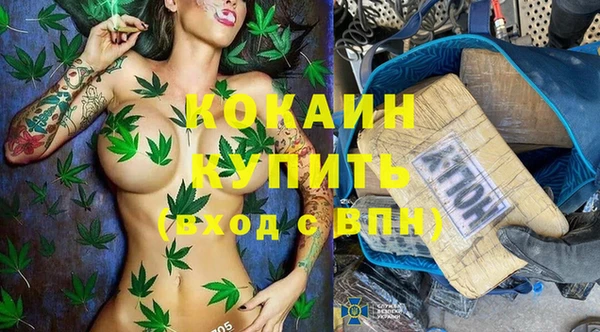 ПСИЛОЦИБИНОВЫЕ ГРИБЫ Дмитров