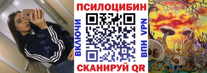 Псилоцибиновые грибы Cubensis  Змеиногорск 